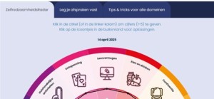 Zelfredzaamheidsradar_tabbladen