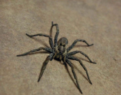 Blog Ria Snoek Zwitserlandreis17