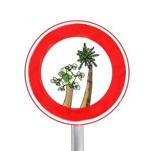 Sparks_forbidden4trees