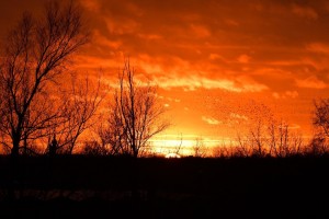 Remko Boogaard_zonsondergang