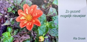 Ria Snoek_nieuwjaarswens
