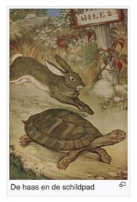 Ria Snoek_haas_en_schildpadjpg