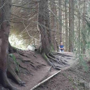 Blog Ria Snoek Zwitserlandreis11