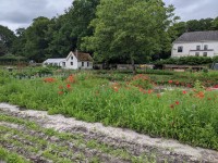 Elizabeth Hartog_akkers