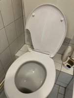 Toiletbril