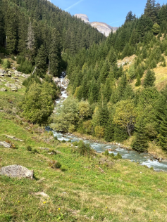 Blog Ria Snoek Zwitserlandreis10