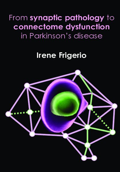 digital+version+phd+thesis+irene+frigerio+-+66b0cd2a5c73b+-+66b0cf37bb8d4