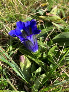 Blog Ria Snoek Zwitserlandreis13