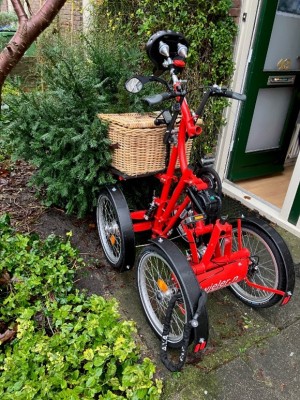 Ria Snoek_geparkeerde fiets